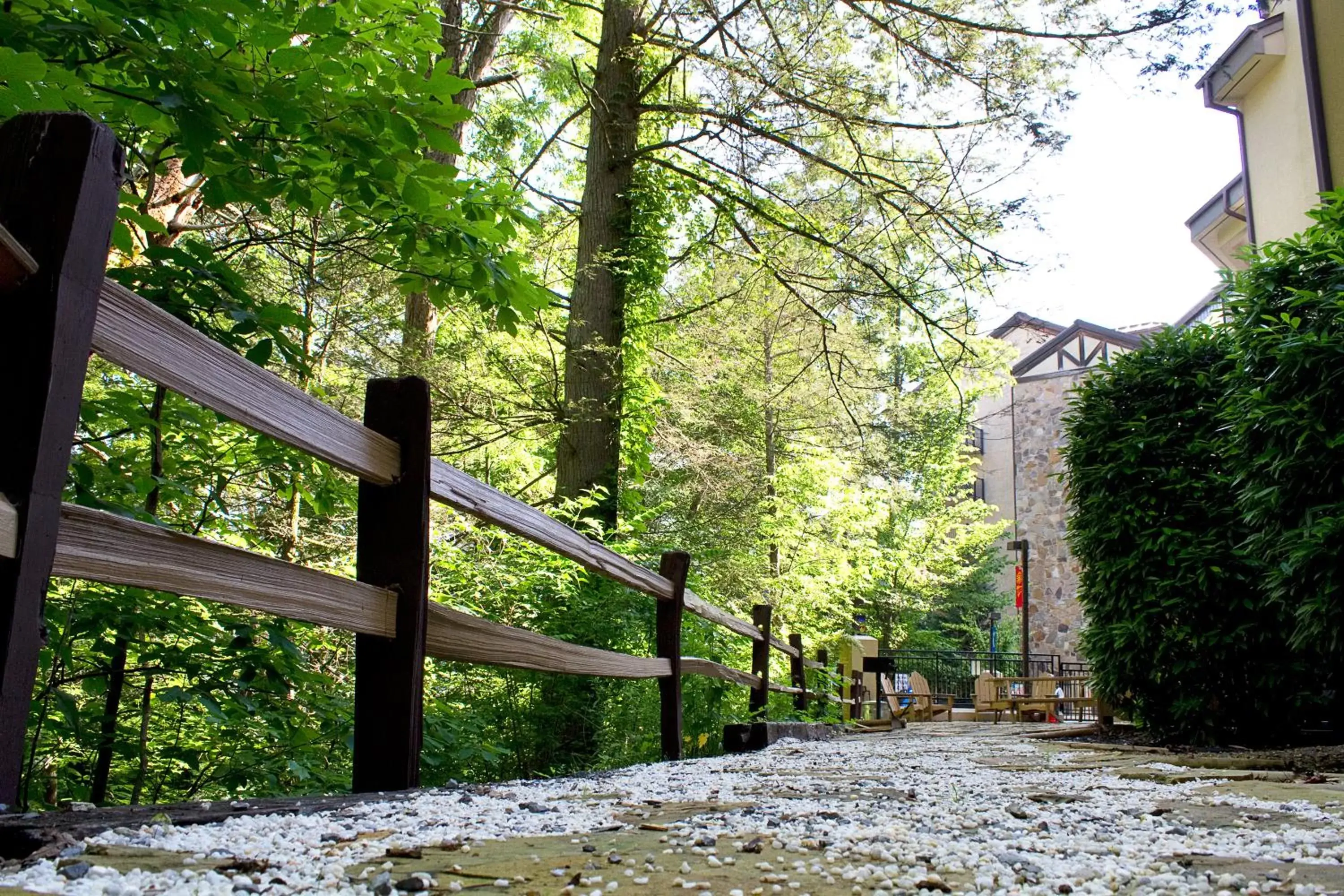 Day in Gatlinburg Town Square